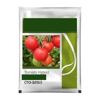 Graines de tomates (1 Kg)