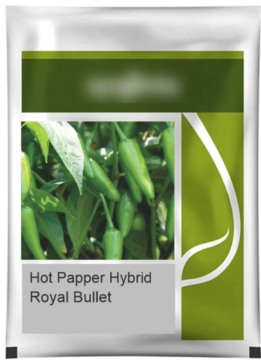 Graines Royal Bullet Mirchi (1 Kg)